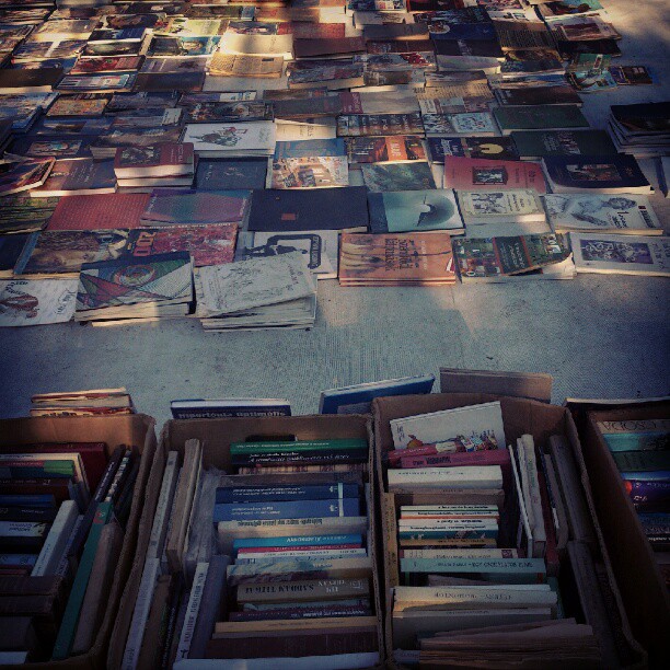 bf7b0f1cfa9d11e1968922000a1cf73c_7